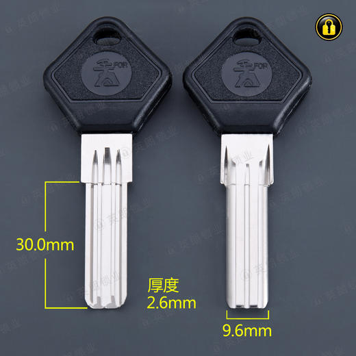 〖3042〗4代王力 商品图0