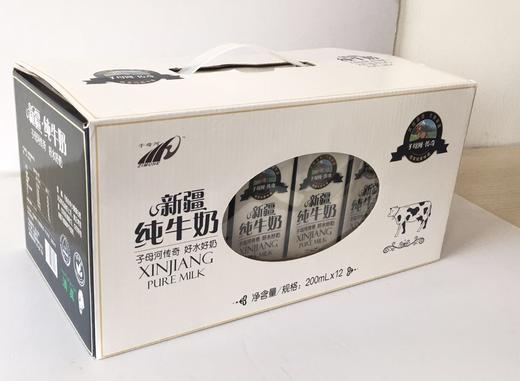 子母河纯牛奶新疆纯牛奶优质牧场纯牛奶