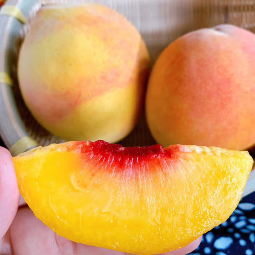 麻阳高山红心黄桃6枚体验装单果重约345两预售16号发货