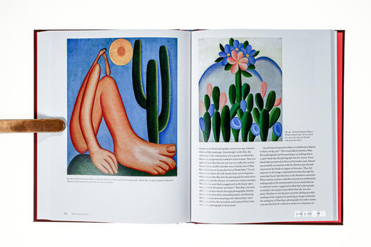 Transatlantic Encounters: Latin American Artists in Paris Between the Wars/越洋的邂逅：战争期间在巴黎的拉丁美洲画家 商品图4