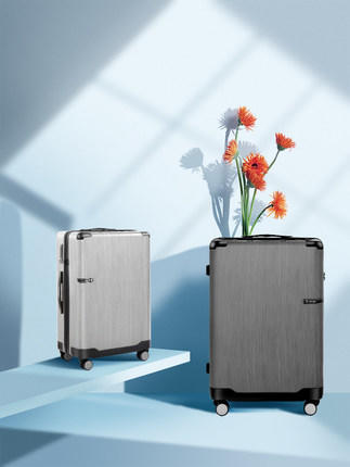 银座商务登机箱男20寸行李箱女24寸万向轮旅行箱A-9358L 商品图1