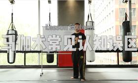 16.马技术常见的认识误区