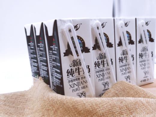 子母河纯牛奶新疆纯牛奶优质牧场纯牛奶