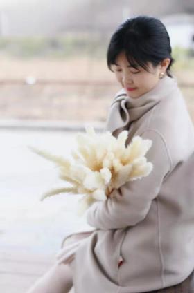 芦苇-白色 单枝 干花  约80公分