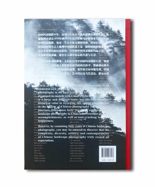 《中国风景40年——1978-2018年》李志良、那日松主编/四川美术出版社 商品图13