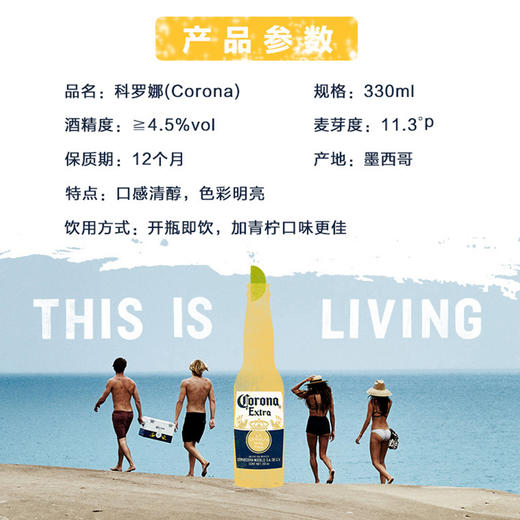 单支装 科罗娜精酿 商品图1