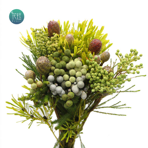 各种混南非进口混搭小果花束不定枝新鲜到货的南非珊瑚果混搭花束图片