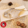 糟鲳鱼净含量1.5kg 商品缩略图1