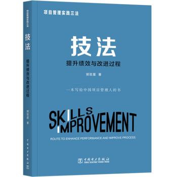项目管理实践三法：技法:提升绩效与改进过程 商品图0