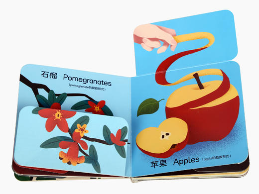 社群 小手翻翻认知书（共10册）原价240 商品图4