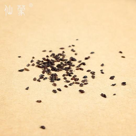 仙蒙道地堂 生车前子 车前仁  500克 1kg 商品图3