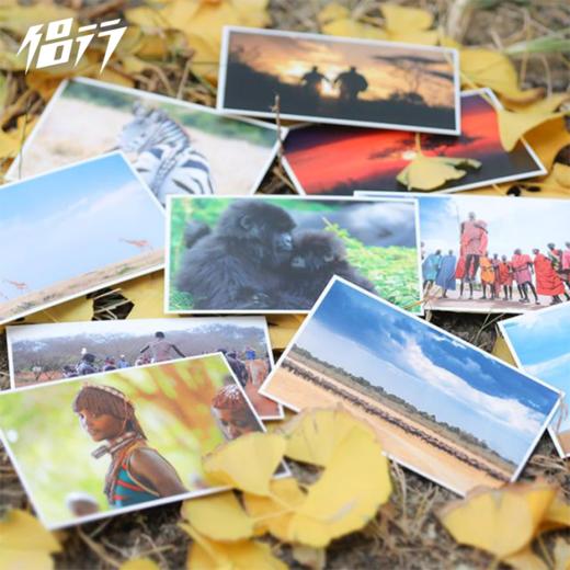 侣行 张昕宇梁红 非洲主题非洲风情 明信片 侣行制造 商品图1