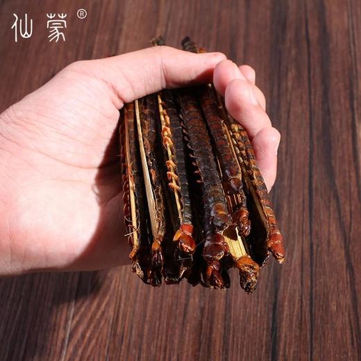 仙蒙 有竹片 蜈蚣 红头蜈蚣 一条 起售16公分左右长全干 商品图2