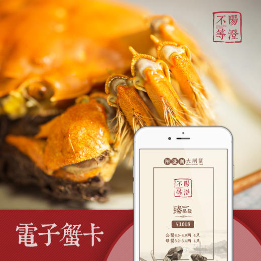 电子蟹卡 【阳澄不等】正宗阳澄湖大闸蟹 电子提蟹券  提蟹发货时间：每年10.8-12.31，大师级提蟹发货时间：每年11.1-12.31 商品图0