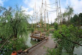 【成都近郊温江-479号院】4房/6房/11房院子，带地暖、可放烟花、荷塘月色凉亭小憩，在两侧成林的桂田中的悠闲时光JFSS