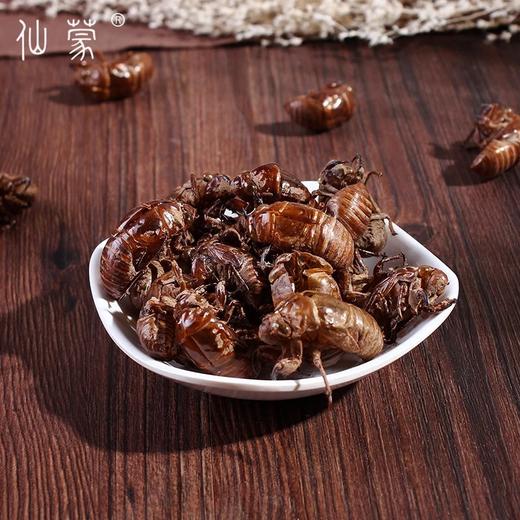 仙蒙道地堂  蝉蜕 蝉衣  250克 500克 1kg 商品图1