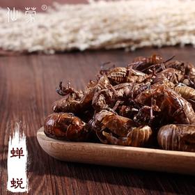 仙蒙道地堂  蝉蜕 蝉衣  250克 500克 1kg