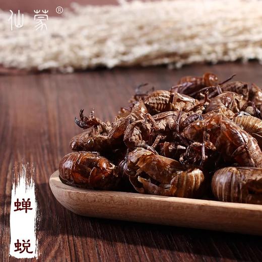 仙蒙道地堂  蝉蜕 蝉衣  250克 500克 1kg 商品图0