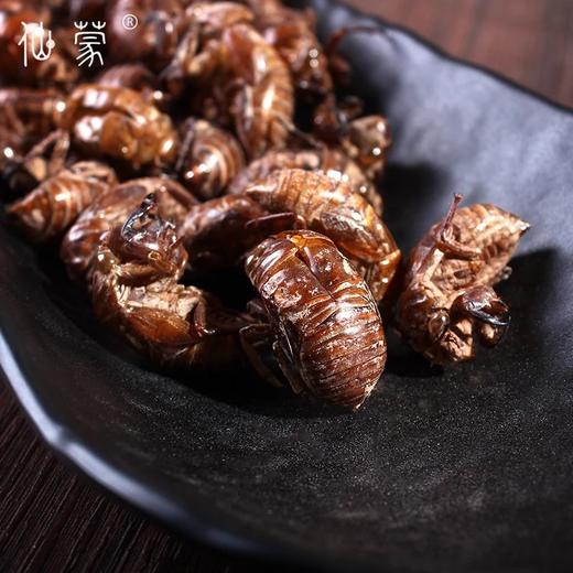 仙蒙道地堂  蝉蜕 蝉衣  250克 500克 1kg 商品图2