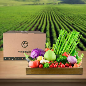 有机蔬菜礼盒（品种随机搭配）（8份装，6-7斤）广东省内包邮