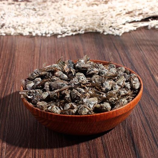 仙蒙道  虻虫 牛蜢 牛虻 250克 500克 1kg 商品图1