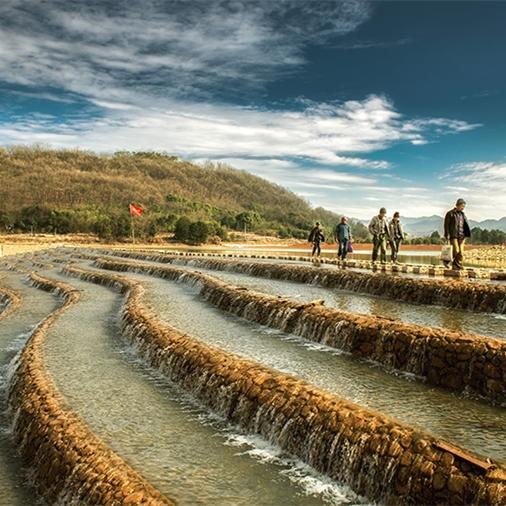 穿越十里青灘林,仙遊水墨黃澤江