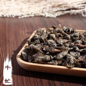 仙蒙道  虻虫 牛蜢 牛虻 250克 500克 1kg