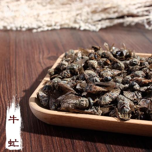 仙蒙道  虻虫 牛蜢 牛虻 250克 500克 1kg 商品图0