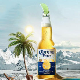 单支装 科罗娜精酿