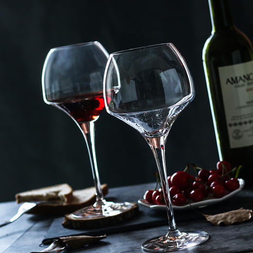 大郁金香 法国CS酒杯 商品图1