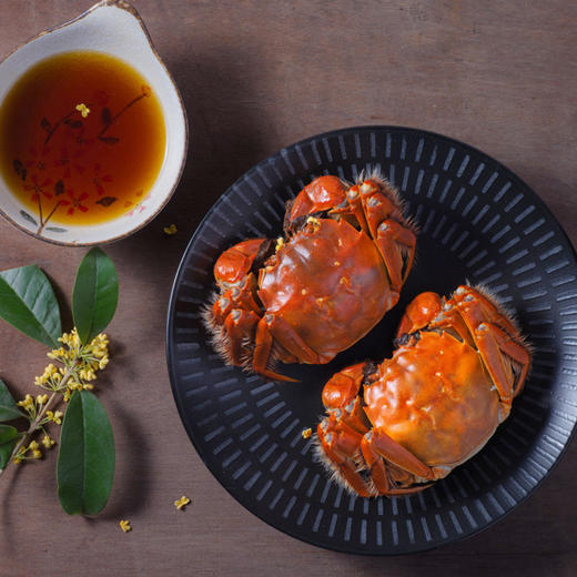 八十八倉 兴化大闸蟹 商品图1