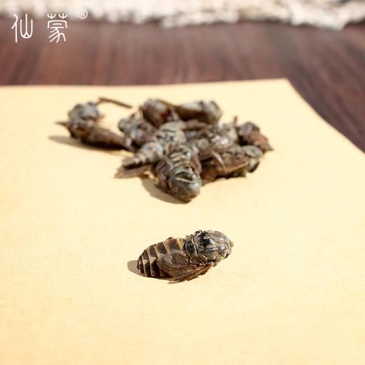 仙蒙道  虻虫 牛蜢 牛虻 250克 500克 1kg 商品图3