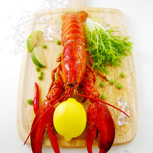 【备用】【砍价19.9元购】加拿大熟冻 波士顿龙虾(350g—400g) 商品图8
