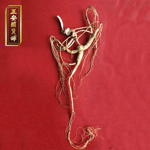 正安 野山参 长白山直采人参 给身体进补 高端礼品 长辈赠礼好物 赞安原材 干参15年/20年【不可用券】 商品图2