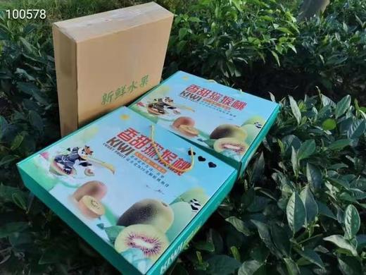 红心猕猴桃 商品图4