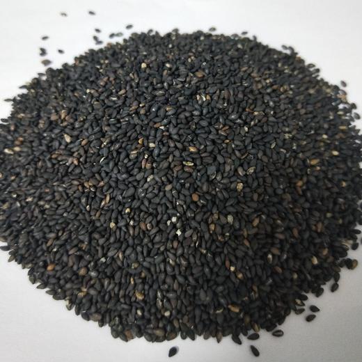 熟黑芝麻（磨粉超香）（5斤装） 商品图0