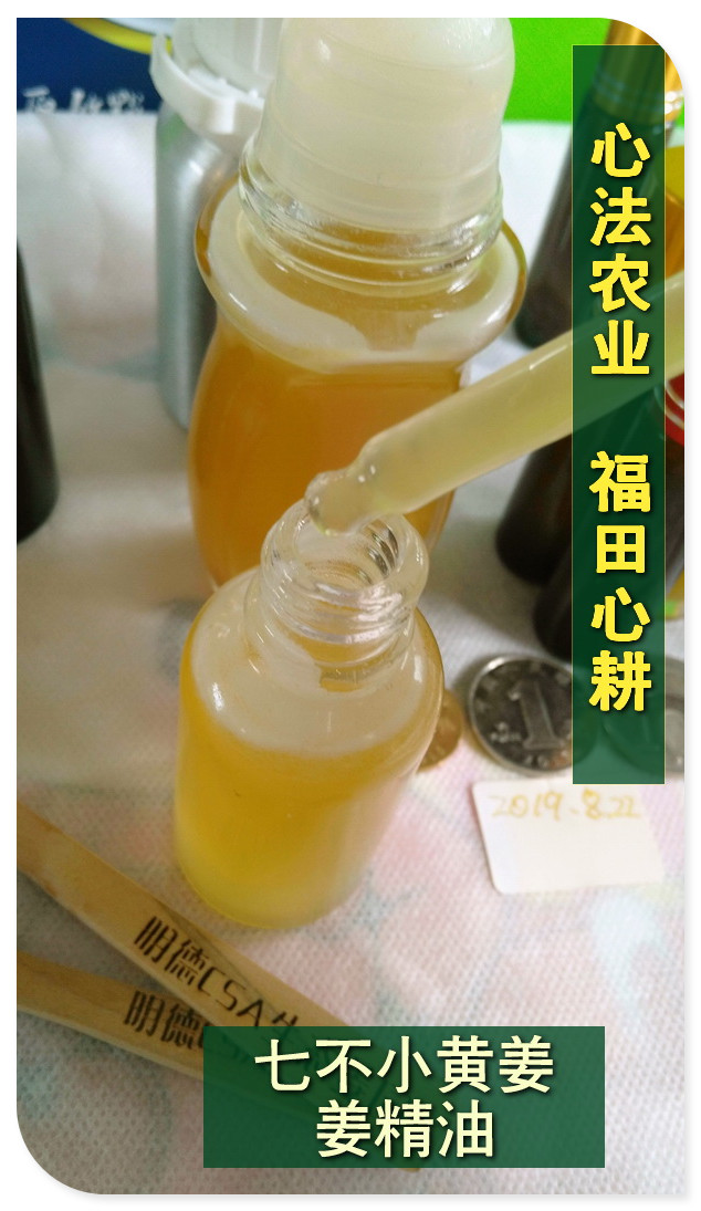 姜油125ml/姜茶油30ml 外热源 🌿✨ 七不姜油/姜精油 ✨🌿