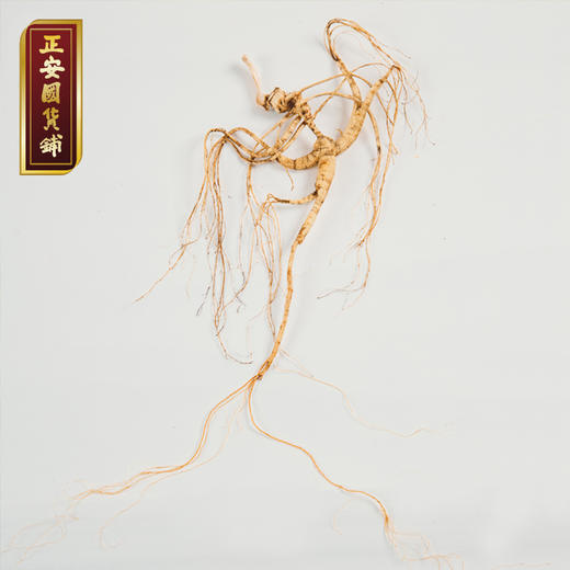 正安 野山参 长白山直采人参 给身体进补 高端礼品 长辈赠礼好物 赞安原材 干参15年/20年【不可用券】 商品图3