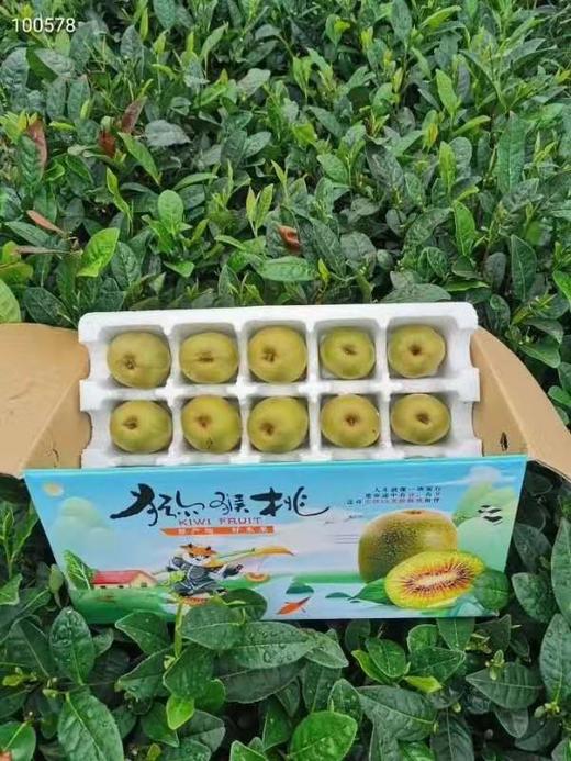 红心猕猴桃 商品图3