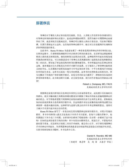 脊神经解剖与显露 王振宇 北医社 商品图2