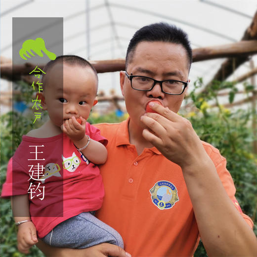 生态西红柿（试吃装） | 合作生产*Eco-tomato | Coprodution 商品图2