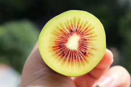 红心猕猴桃 商品图1