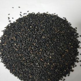 熟精选黑芝麻（一级香滑）（5斤装）