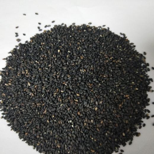 熟精选黑芝麻（一级香滑）（5斤装） 商品图0