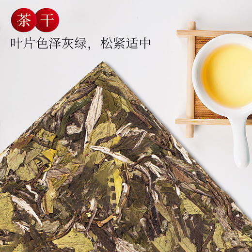 元正启山国色白牡丹片福鼎白茶茶叶太姥山高山25克 商品图1