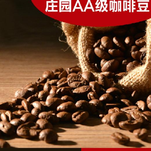 精选咖啡豆 蓝山咖啡 拼配豆 风味咖啡 可现磨咖啡粉 纯黑咖啡豆 454g 商品图2
