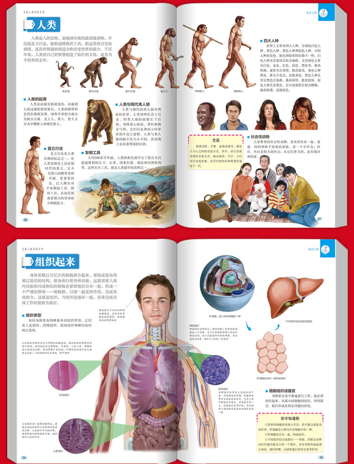 彩图精装版科普读物老师推荐中国少年儿童揭秘人体知识百科大全书6-7