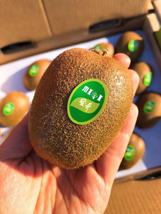 【四川翠香猕猴桃】18-20粒/箱，果肉更甜。 商品图4