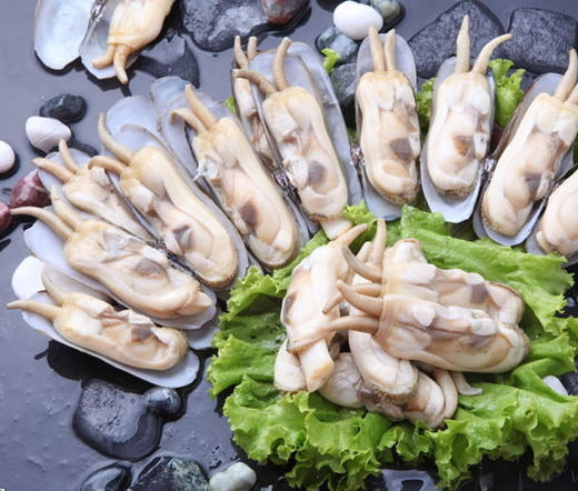 鲜活圣子 商品图1