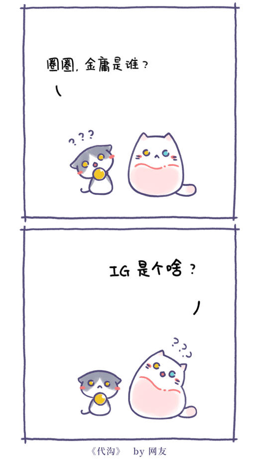 IG是个啥？ 商品图0